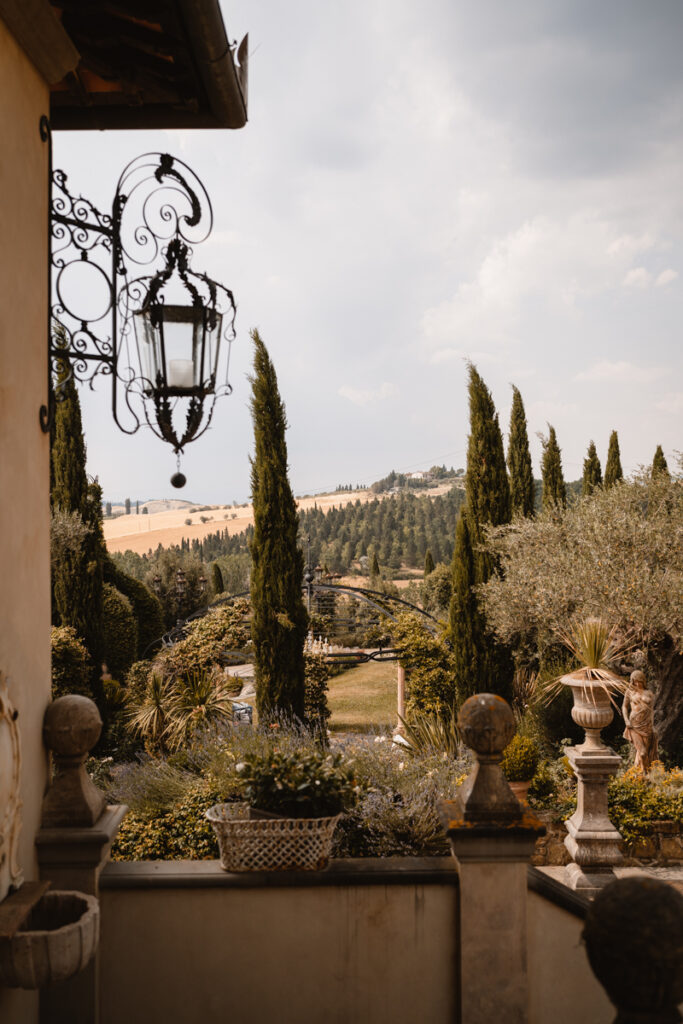 cipress in Tenuta Corbinaia, Florence